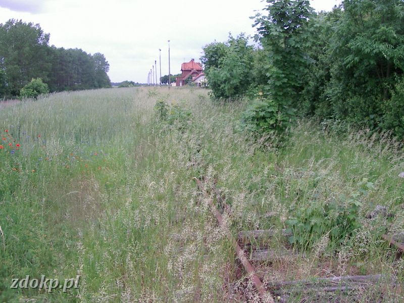 2005-06-06.061 popowo widok w kier janowca ZWROTNICA!.JPG - stacja Popowo Kocielne - w trawie widoczny zwrotnica (w prawo) toru rozadunkowego.